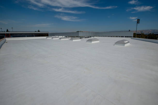 Best Roof Insulation Installation  in Travis Ranch, TX