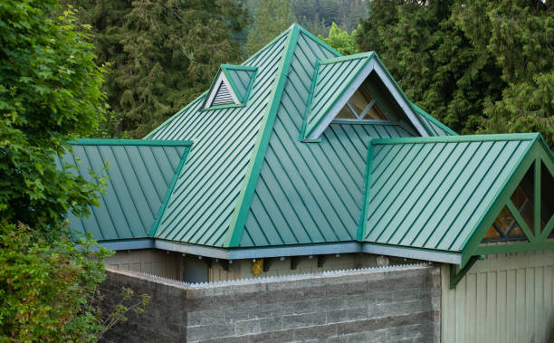 Best Roof Ventilation Installation  in Travis Ranch, TX