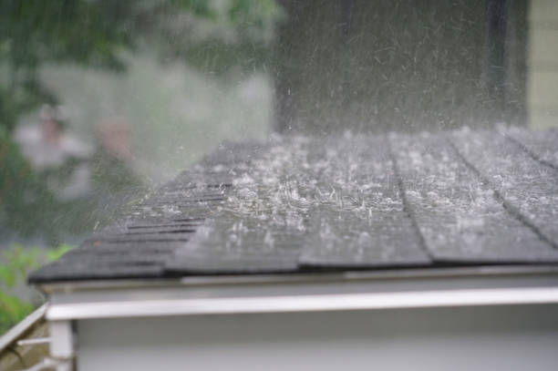 Best 4 Ply Roofing  in Travis Ranch, TX