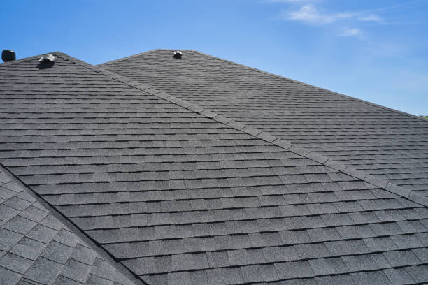 Best Roof Leak Repair  in Travis Ranch, TX