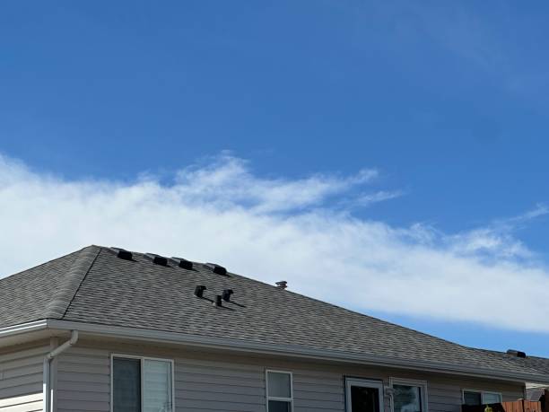 Best Commercial Roofing Services  in Travis Ranch, TX